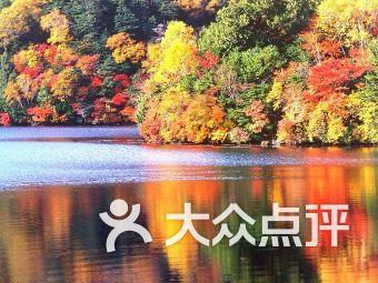逃离幻想金字塔