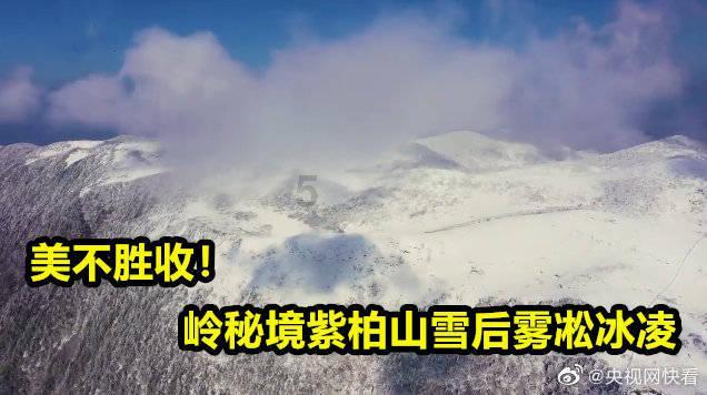 探探猫之飞刀大师