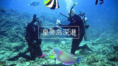 经典扫雷大挑战