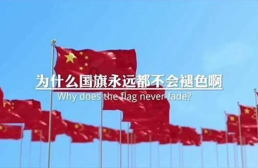 绯雨骑士团