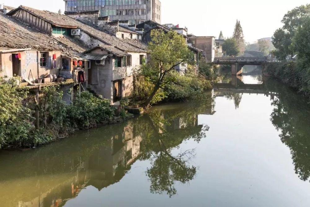 癞蛤蟆吃天鹅肉下一句歇后语是什么?-专业的问答平台